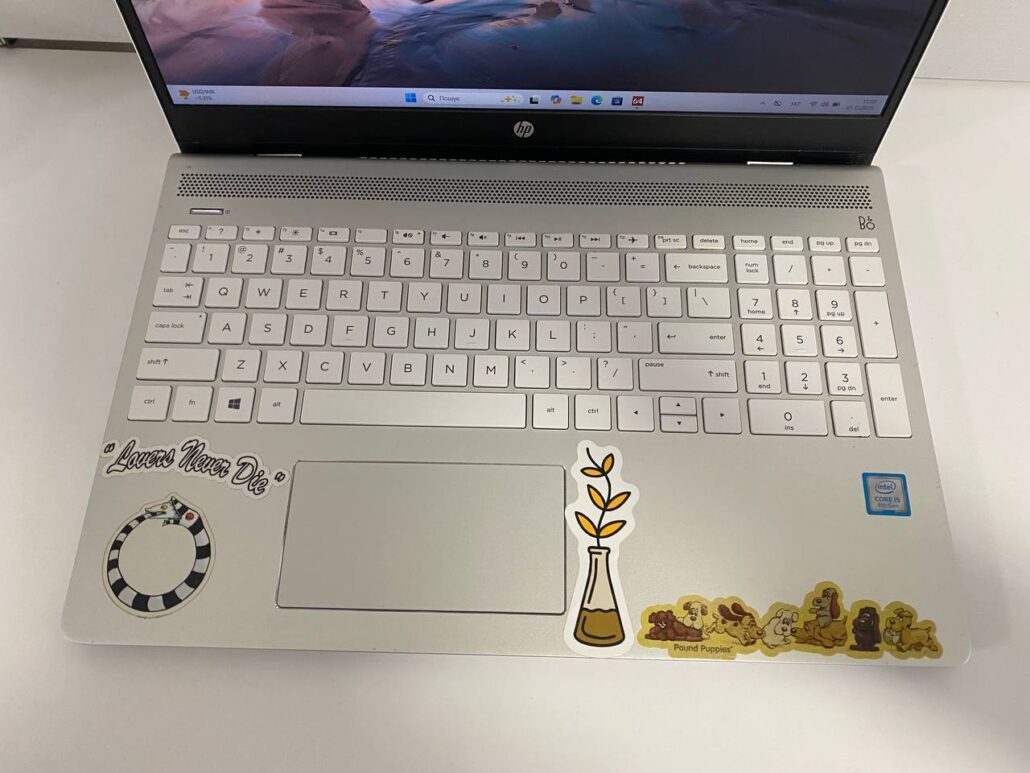 photo_2025-12-01_11-54-09